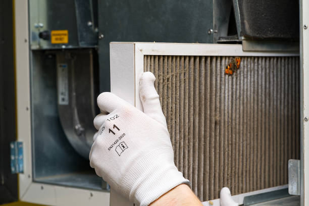Best Air Duct Cleaning Near Me  in Ely, IA