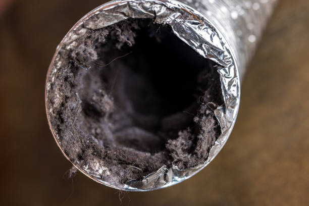 Best Professional Duct Cleaning Services  in Ely, IA